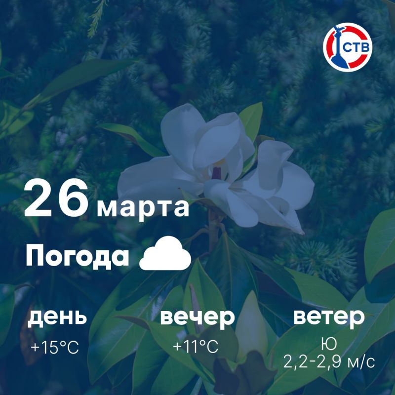 ������ ����, �������������! �������, 26 �����, � ������ ��������