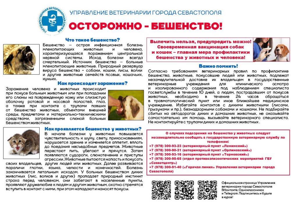 ��������!. ��������������� ������������ ������ ����������� ��������� ���������� �������������� ������ � ���������� �� ����������� ���������� ������ �� ���������� ���������� �������������� ������ ������ �����������, ����...