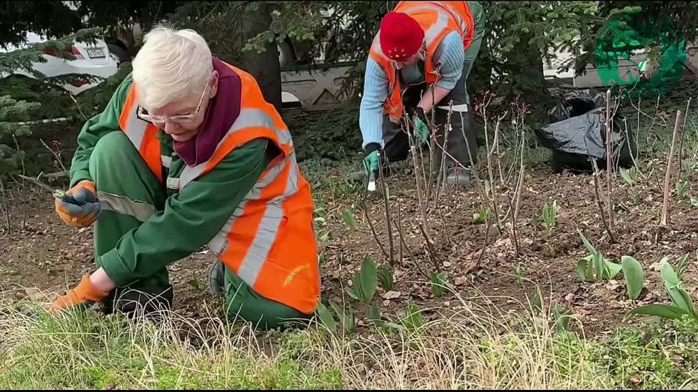 ��������� � ������: � ����������� �� ������� �������� ����������� ������� �������� � ������� ������ � �������