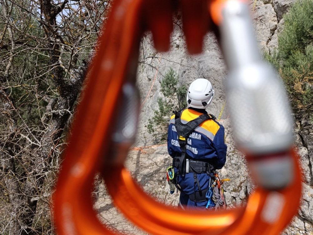 ������-������������� ������� �� ������ ����������