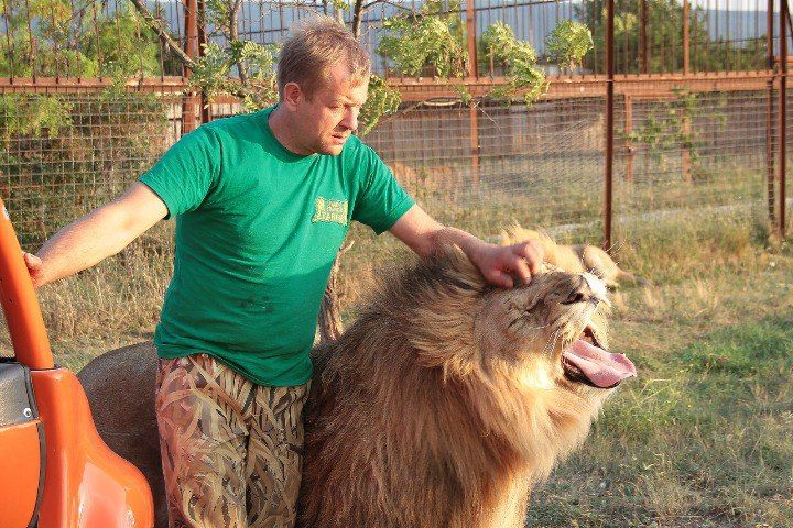 � �������� �� ����� ������������ ���� �������