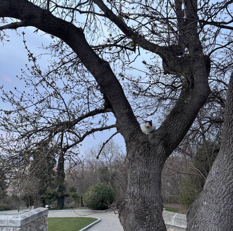 � ������ �����. 26 ����� ��� ������������ �������