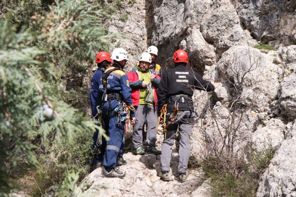 ������-������������� ������� �� ������ ����������