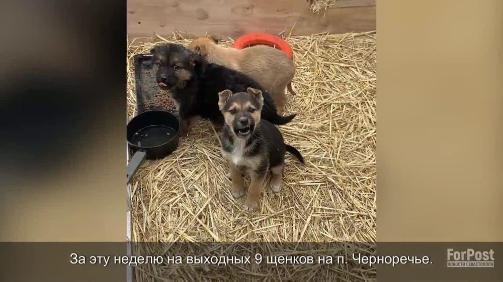 ������ �� ��� ������ � ������ ������� ����������� ���������� 20 ����������� �� ������� ������