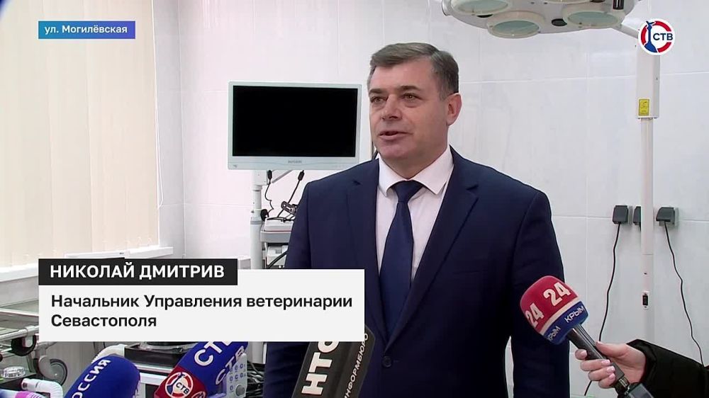 В Гагаринском и Нахимовском районах Севастополя ввели карантин по бешенству животных