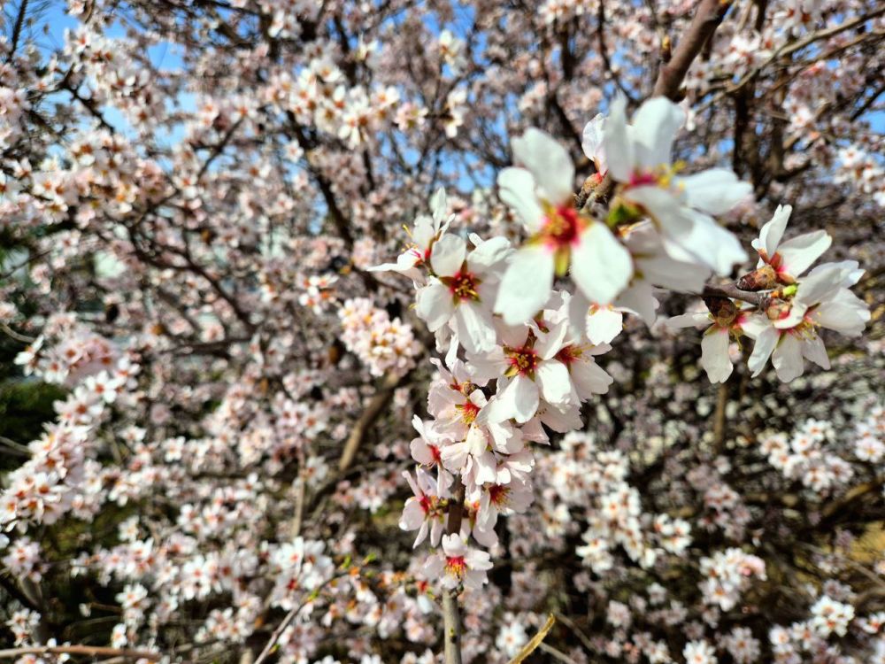 ������ ����, �����������!. ������� � ������ ����� ������� � ������������