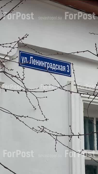 #���_�����. ��� ��� ����� ��������� ������ ���� � � �������� ���� �������, � ���������� ������ �������, � � ������������� ������� ����������� ������������ ��������������� ���