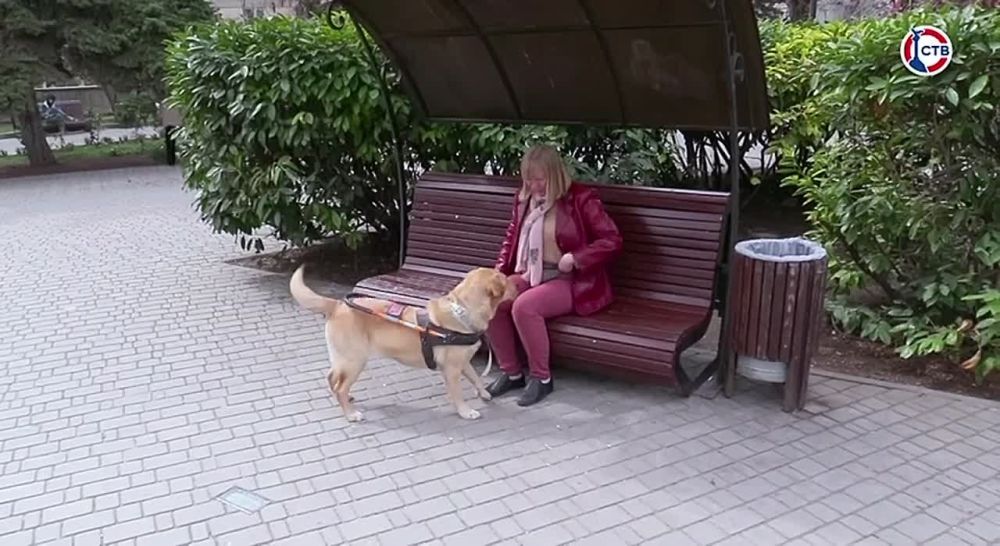 В Севастопольском обществе слепых появилась первая собака-проводник