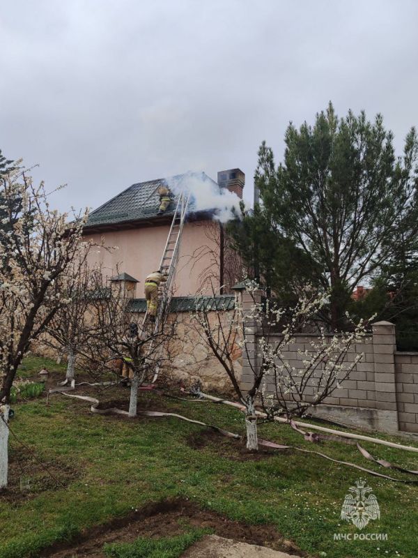 � ���� ��������� �������� �����