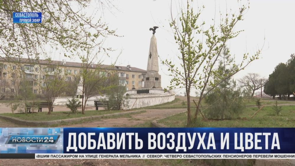 Почки, бутоны да листочки. Предприятие «Парки и скверы» приступило к весеннему озеленению Севастополя