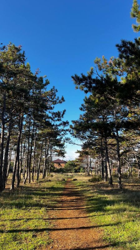 � ����������� ������� � ������������, ��� ������������ �������