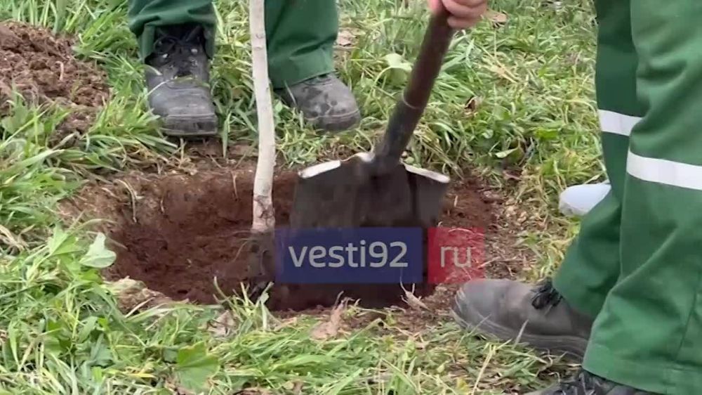 �� ��������� ������ ���������� ������� � ������� ���������� ������� ����