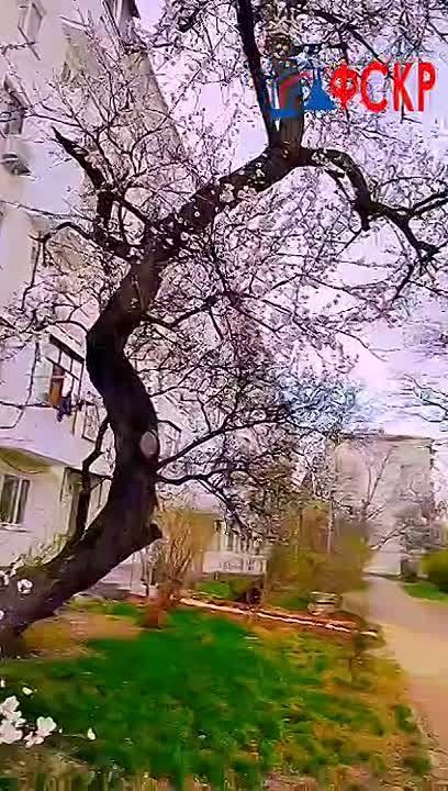 #���������������������. ������������, ������