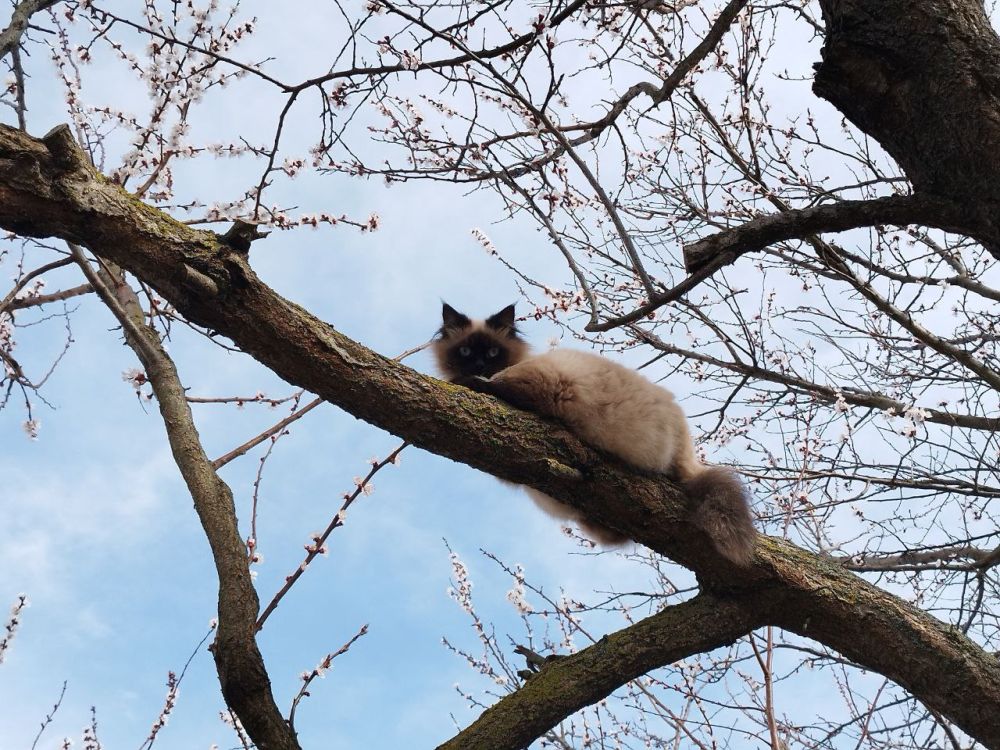 ������� ������ � ����� �� 28 �����