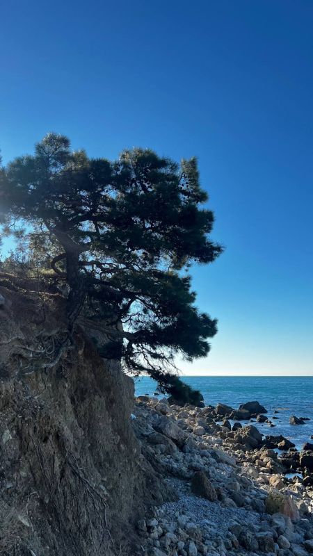 � ����������� ���������� ����������, ��� ������������ �������