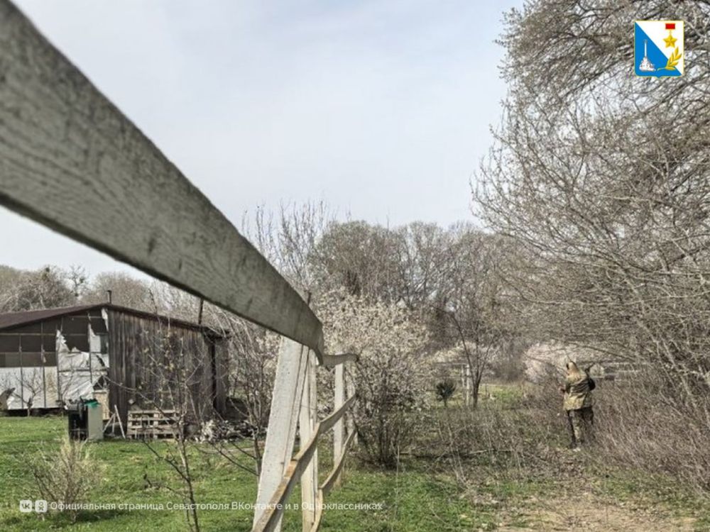 ���������� ������������ ��������� �������� � �������� ������ ����������� ������� ���� ����������� ������ ���� �� ���� ������� � ���������� ���������� ������������� ������� ����������, �������������� ����� ������, ������� ��...