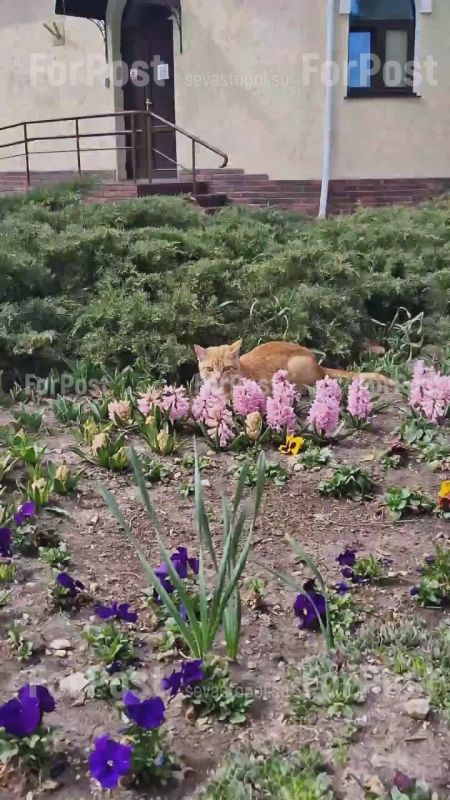 ����������� ������� �������� � ������ ����� � �������