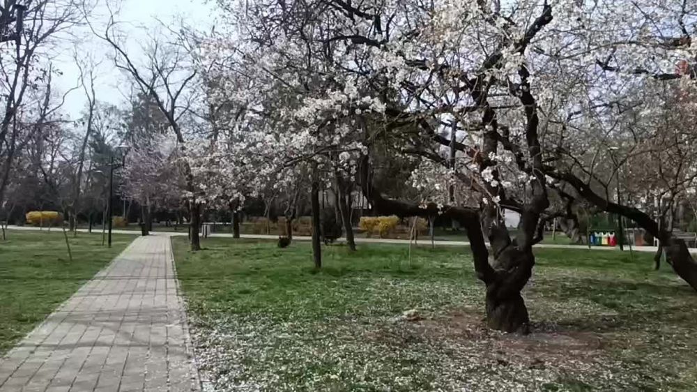 � ��� ����������, ������, �������� ������ ������������ ������ �� ���������� � ������ 60-����� ����