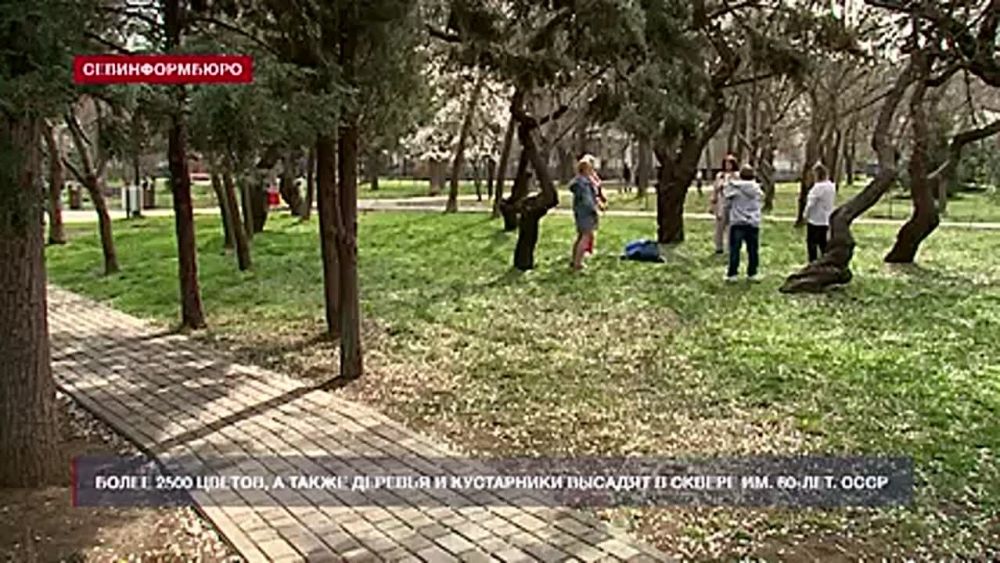 В сквере имени 60-летия СССР высаживают хвойные деревья и цветы