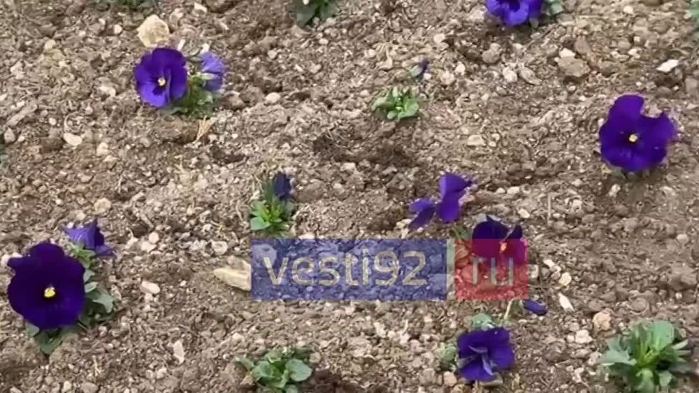 ������, ������� ��� � �������� ��� ������� �������� ����� 60-����� ����