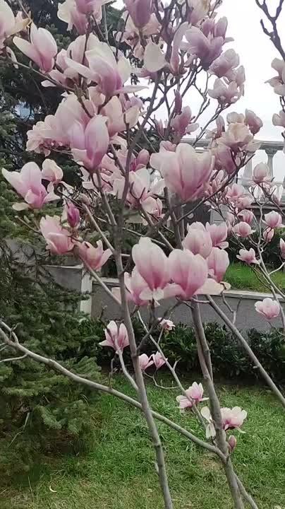 ������ �������, ������!. � ����������� ��� ������������ �������