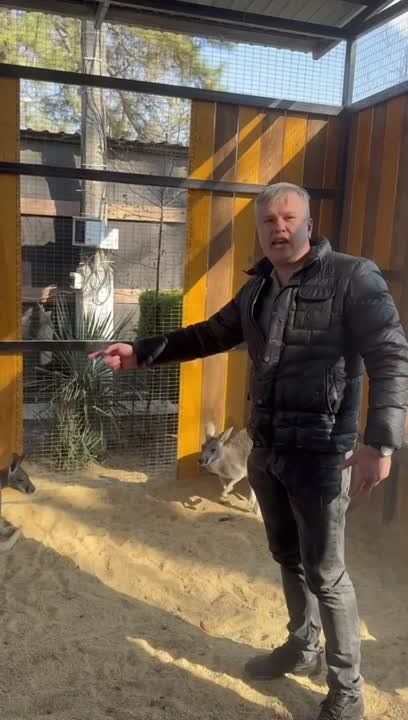 ������ ��� � ��������� �����: � �������������� ����� �������� ��������� ����� �� ����� ������, ������� �������� ����� �������