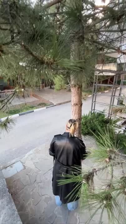 �������, �������� �������� �� ����, ���������� ���������