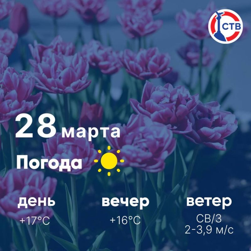 ������ ����, �������������! �������, 28 �����, � ����� ������ ��������