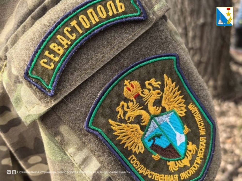 ���������� ������������ ��������� �������� � �������� ������ ����������� ������� ���� ����������� ������ ���� �� ���� ������� � ���������� ���������� ������������� ������� ����������, �������������� ����� ������, ������� ��...