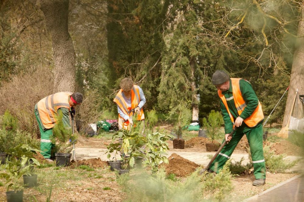 ����������� ���������� �������