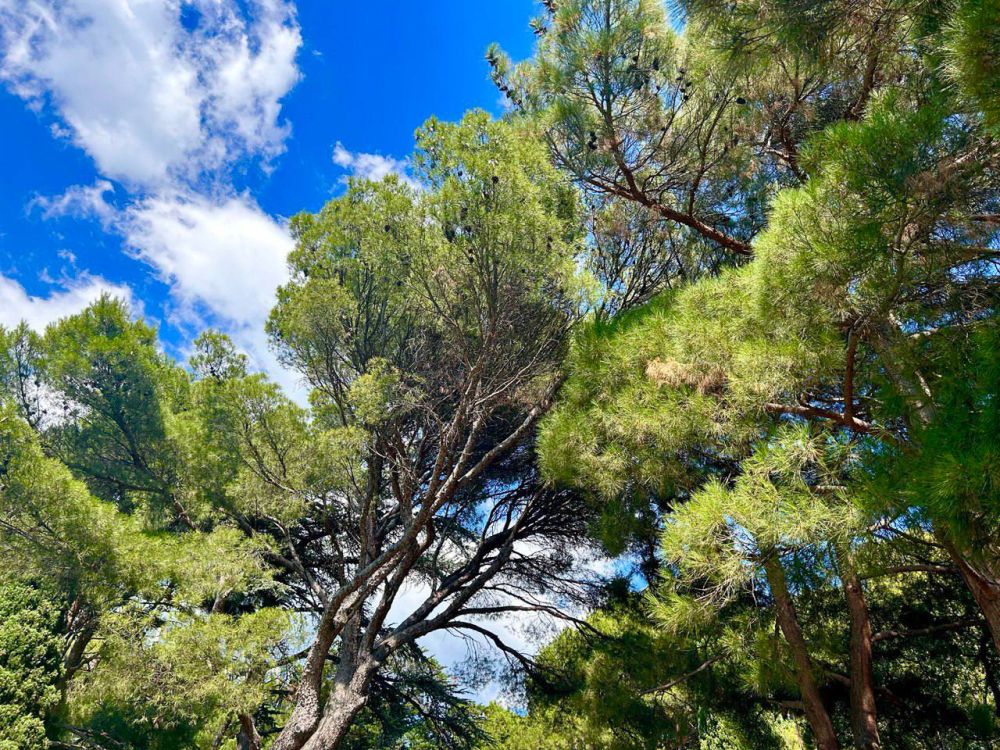 ������ ����, �����������!. ������� � ������ ����� ������� � ������������