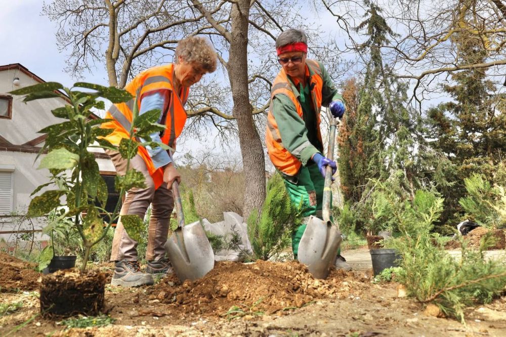 ���������� ������� � ������� ��������� ����� 60-����� ����