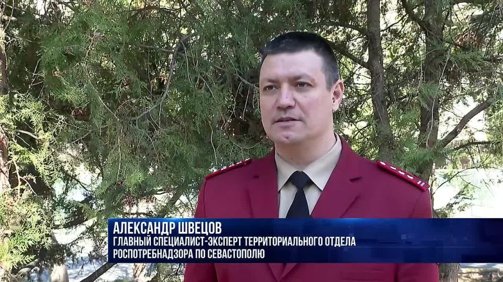 ����������� ��������, ���� �������� � ������ - ������� ������ ������ � ���������� ��������� ���������� � ���������������� �����������