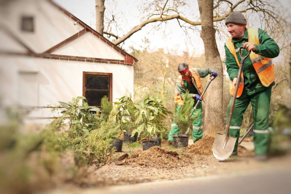 ���������� ������� � ������� ��������� ����� 60-����� ����