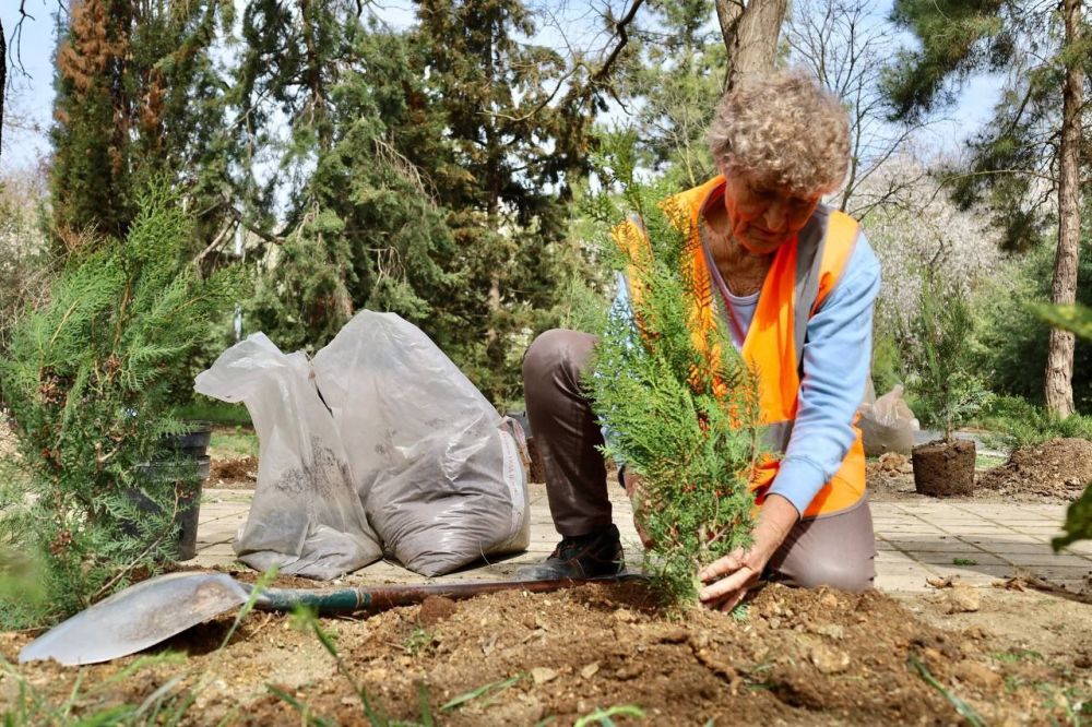 ���������� ������� � ������� ��������� ����� 60-����� ����