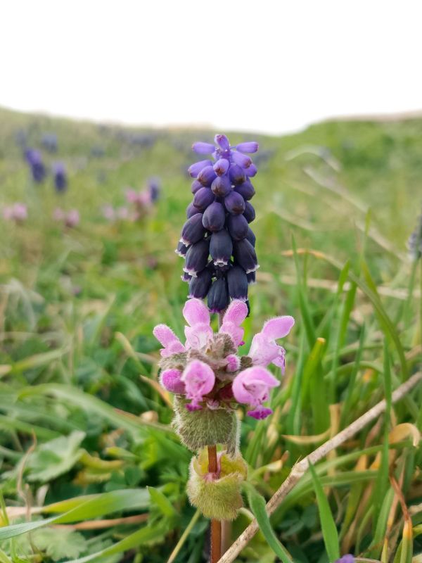 ���� ������� ���������� ����!