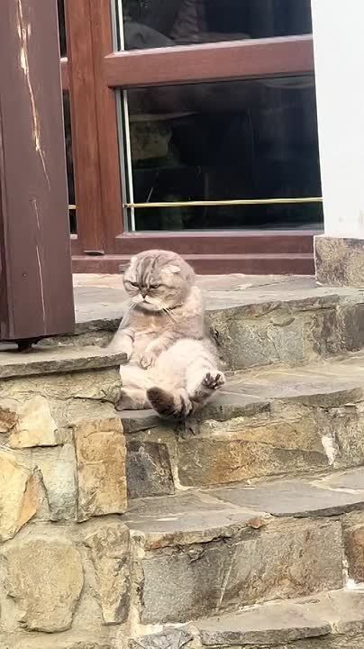 ��������� ����� �������� ��������� �������� �������� ��������