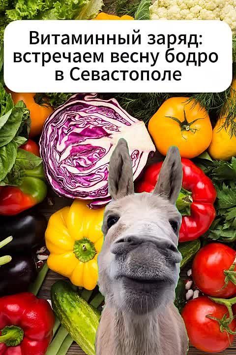 ����� ������ ���� ���� ��� �� ������� �����, ������, � ��� ���������