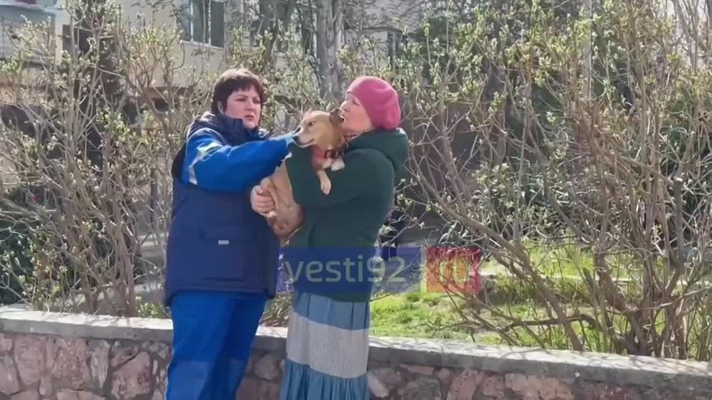 ������� � ����������� ������������ �������� ���������� ���������� �������� ������ ���������