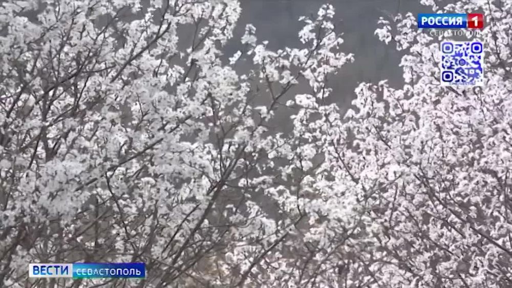 7 ������� ����������� ������ ���� �� ��������������� ��� ������� � ���� ���� ���������� ����������������