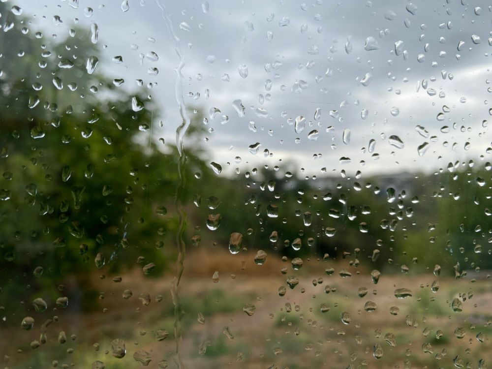 ������� ������ � ����� �� 29 �����