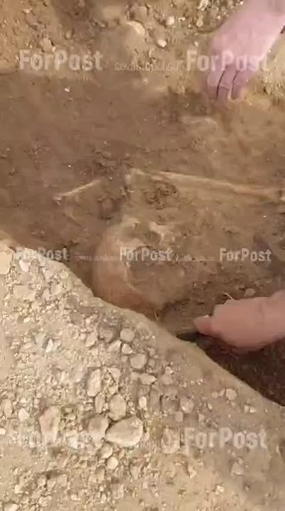 �� ����� ������� �������� � �����������, � ������ ����, �������� ����� ��������