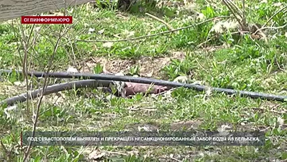 ��� ������������ ������� ���������� ����� ���� �� ���� �������