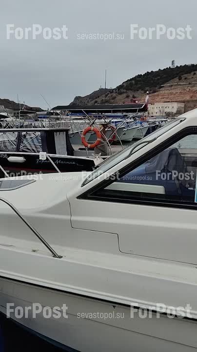 � ������ �� ��������� �� �����, ��������?