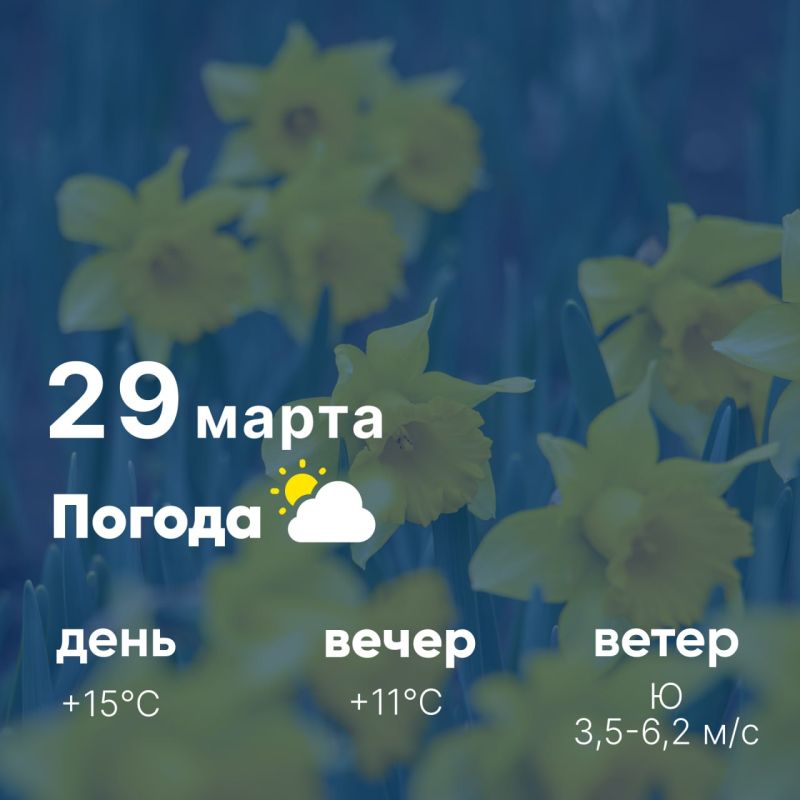 ������ ����, �������������! �������, 29 �����, � ������ ���������� ����������