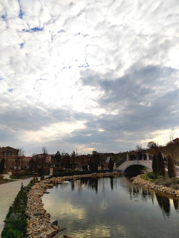 ���� ������� ����������� ���