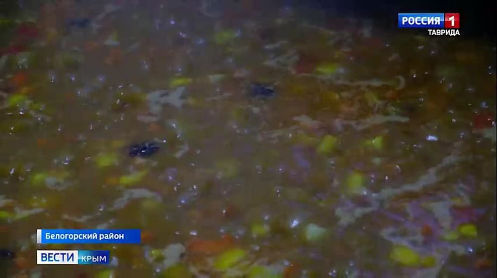 ���������� ����� ���� �������� �����-������