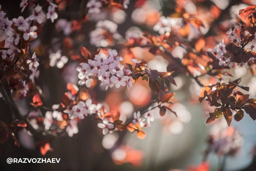 � ����������� �������-�� ������ ��������� �����