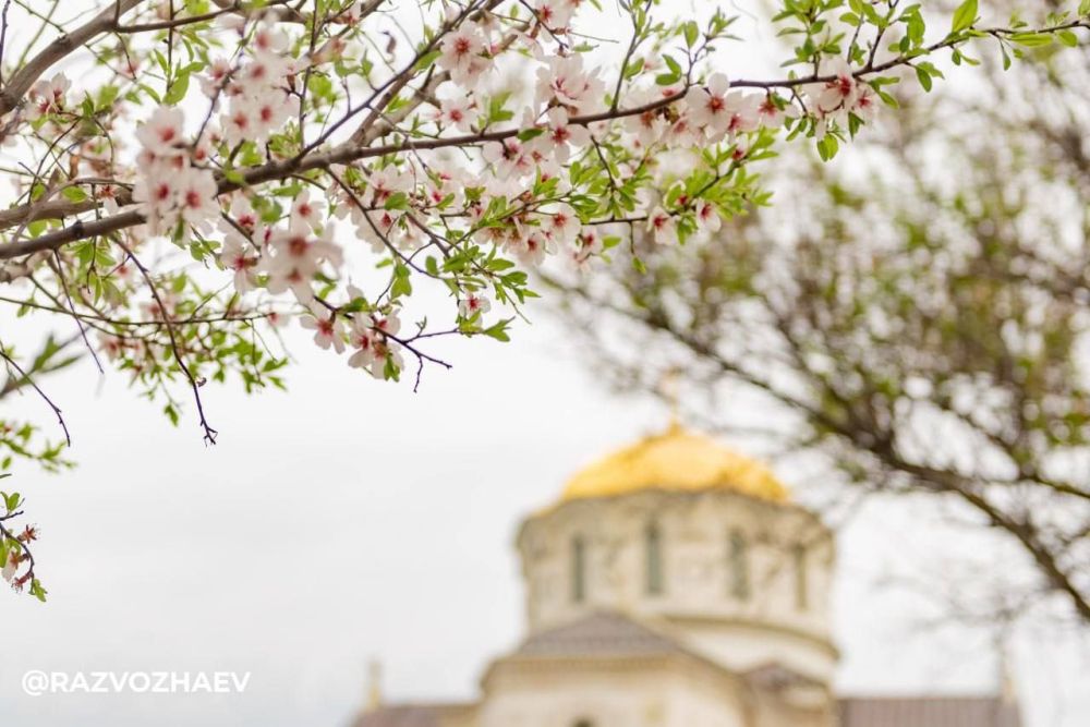 � ����������� �������-�� ������ ��������� �����