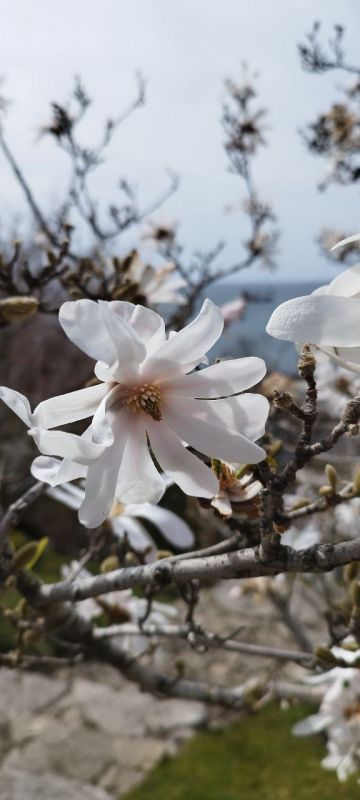 ������ ����, �����������! ������� ��������� ������� ���� +9, +13